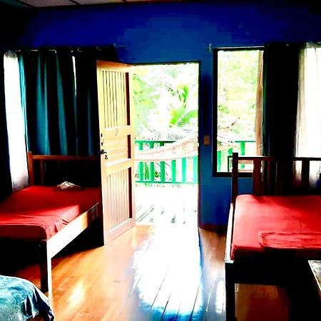 Allegra Hostel Drake Bay Bagian luar foto