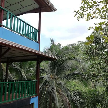 Allegra Hostel Drake Bay Bagian luar foto