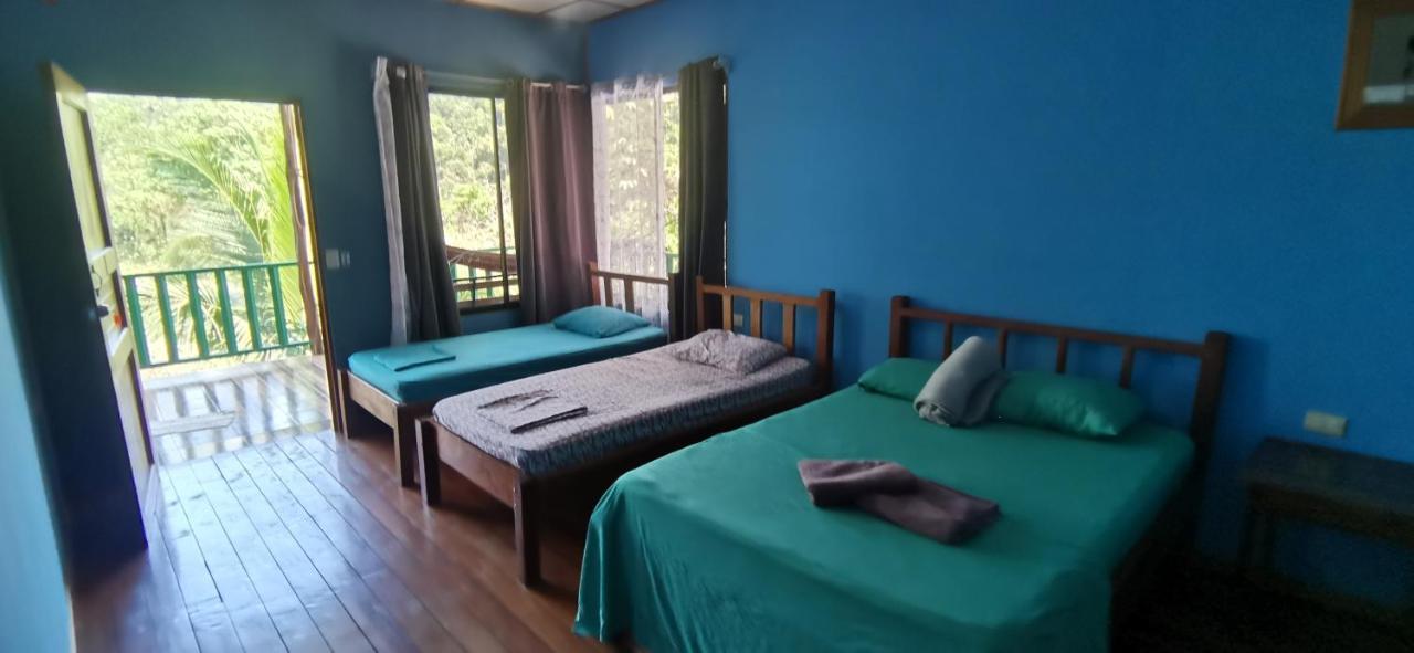 Allegra Hostel Drake Bay Bagian luar foto