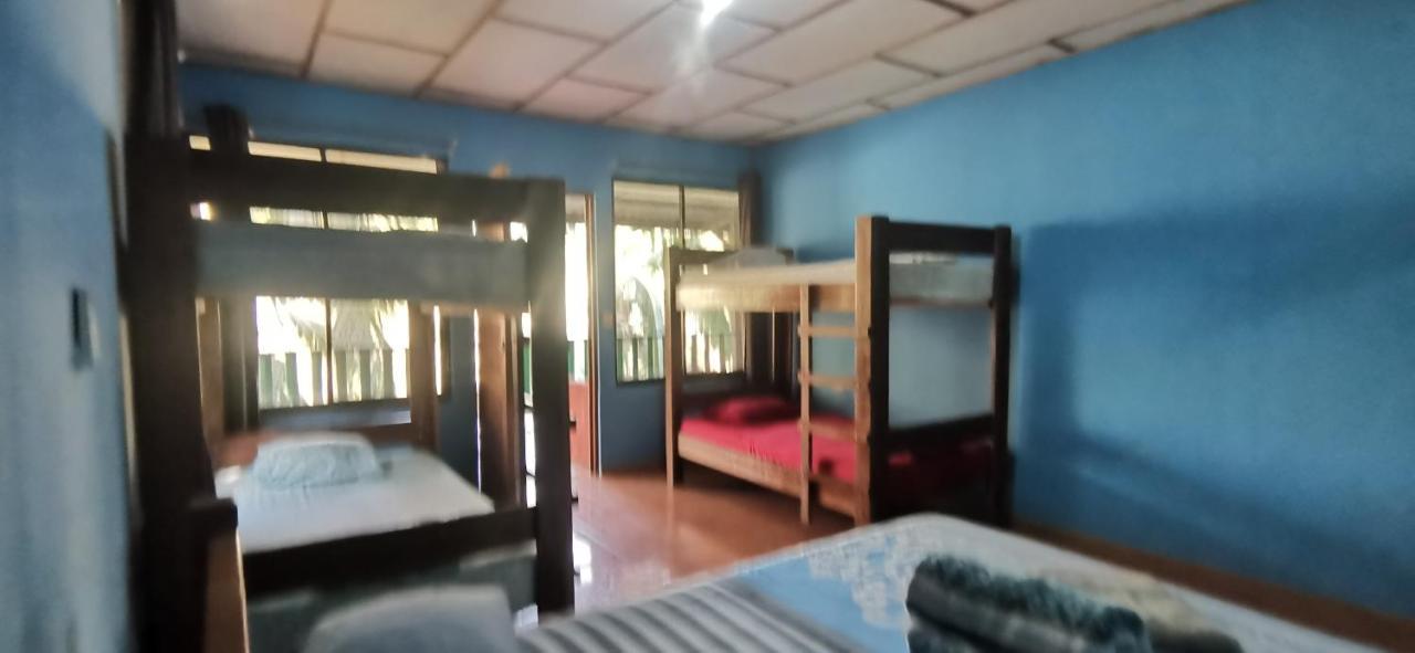 Allegra Hostel Drake Bay Bagian luar foto
