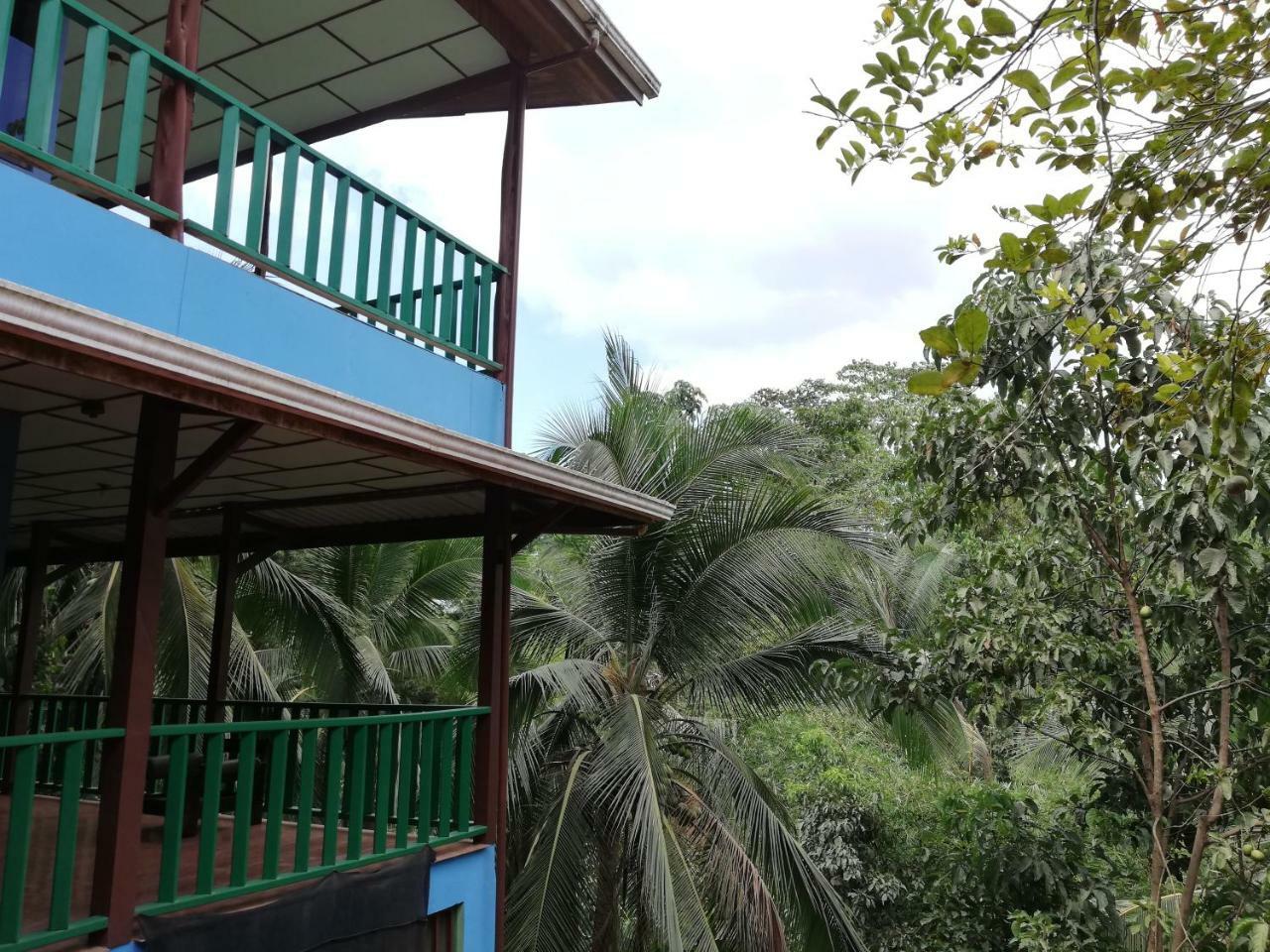 Allegra Hostel Drake Bay Bagian luar foto